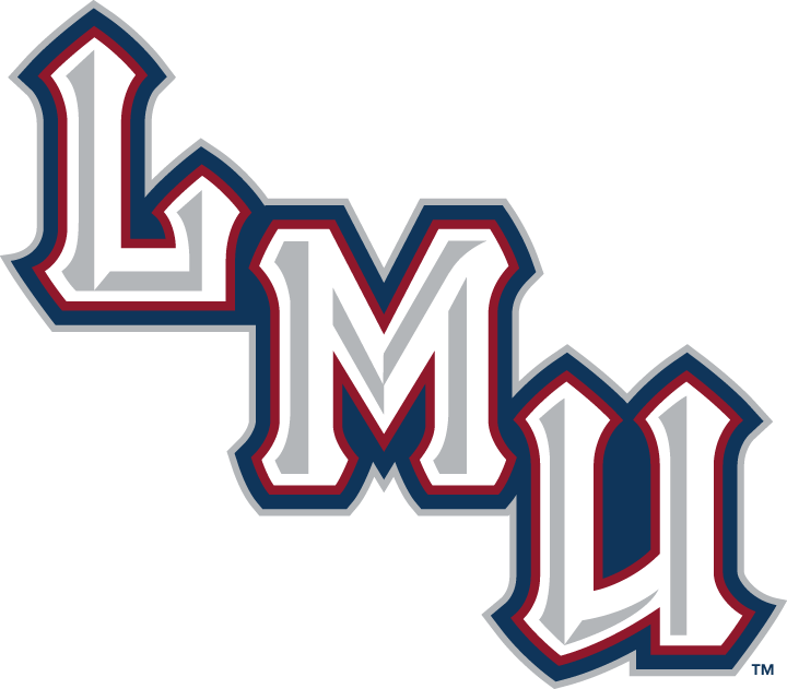 Loyola Marymount Lions 2001-Pres Wordmark Logo v2 DIY iron on transfer (heat transfer)